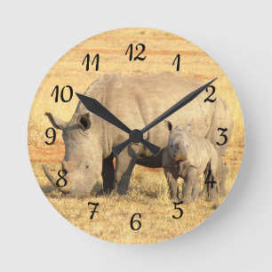 Cute rhinoceros in africa round clock