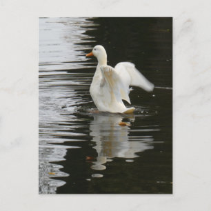 Cute Rising Duck DIY Postcard