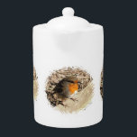 CUTE ROBIN<br><div class="desc">A cute little European robin sitting on a fence enjoying the warmth of the sun. Photographic design.</div>