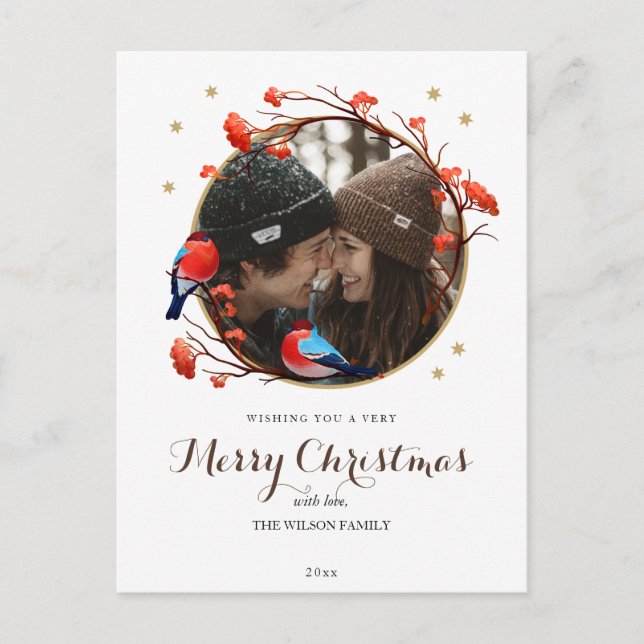 Cute Robin Birds Berries Wreath Christmas Photo Postcard (Front)