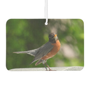 Cute Robin Car Air Freshener