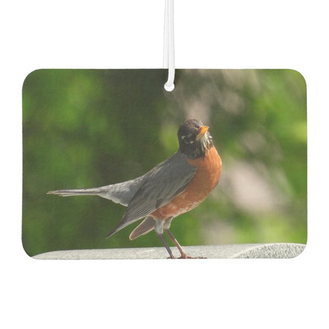 Cute Robin Car Air Freshener (Front)