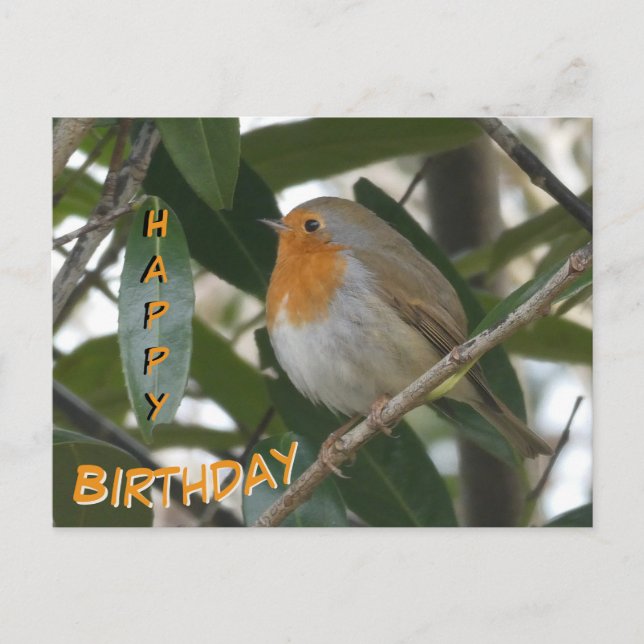 Cute Robin & Green Leaves Happy Birthday Postcard (Front)