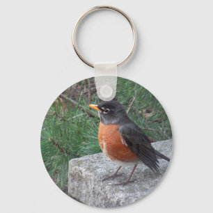 Cute Robin In Garden Photo Key Ring