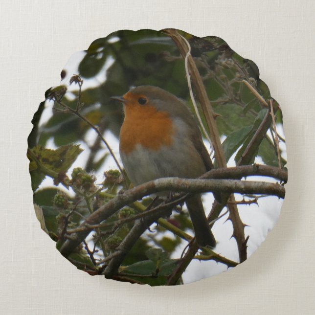 Cute Robin in the Park Round Pillow (Front)