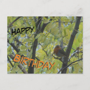 Cute Robin in Tree Happy Birthday Postcard