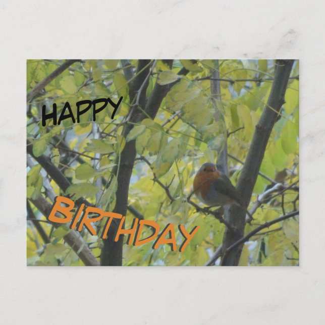 Cute Robin in Tree Happy Birthday Postcard (Front)