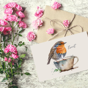 Cute Robin Orange Bird Watercolor Postcard