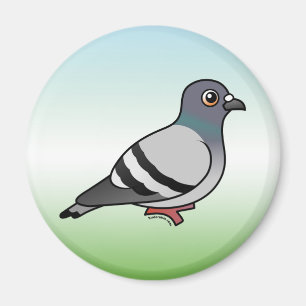 Cute Rock Pigeon Magnet
