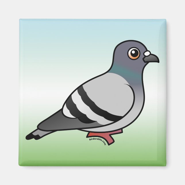 Cute Rock Pigeon Magnet (Front)