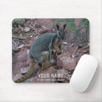 Cute Rock Wallaby with Baby Animal Australia