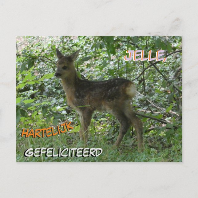 Cute Roe Deer in the Forrest Birthday Postcard (Front)