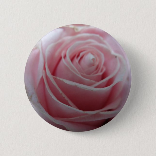 Cute Rose Flower 6 Cm Round Badge (Front)