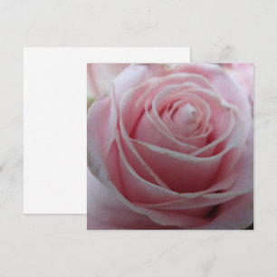 Cute Rose Flower Card