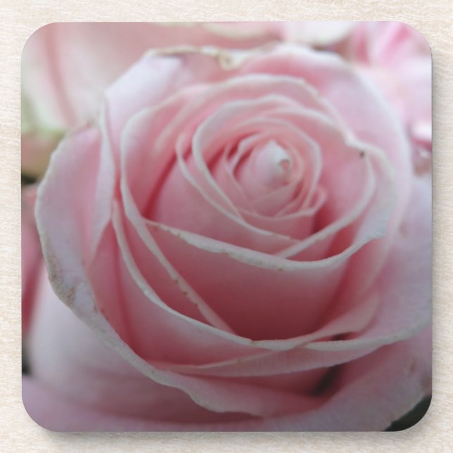 Cute Rose Flower Coaster (Front)