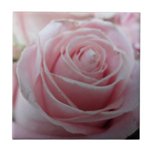 Cute Rose Flower Tile