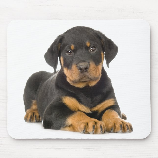 Cute Rottie Puppy Dog Gift Rottweiler Mouse Mat (Front)