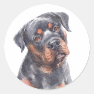  Cute Rottie Puppy Dog Watercolor Rottweiler Classic Round Sticker