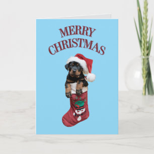 Cute Rottweiler Christmas  Holiday Card