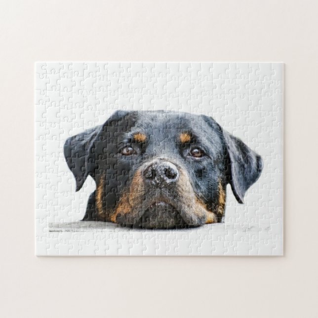 Cute Rottweiler Dog Breed Face Jigsaw Puzzle (Horizontal)