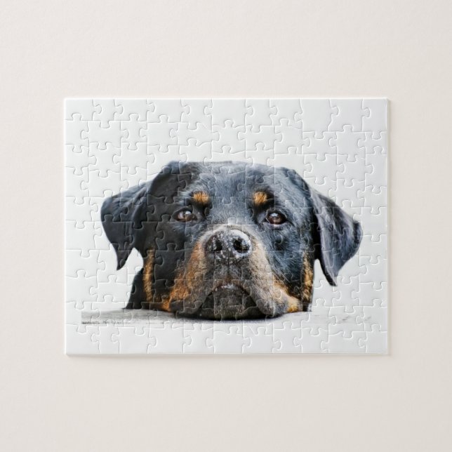 Cute Rottweiler | Dog Breed Face Jigsaw Puzzle (Horizontal)