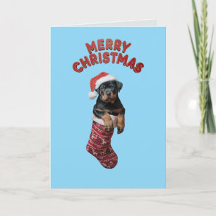 Cute Rottweiler Dog Christmas  Card