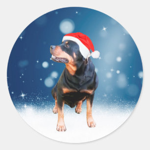 Cute Rottweiler Dog Christmas Santa Hat Snow Stars Classic Round Sticker