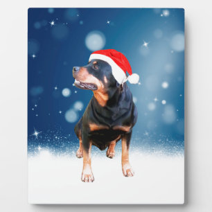 Cute Rottweiler Dog Christmas Santa Hat Snow Stars Plaque