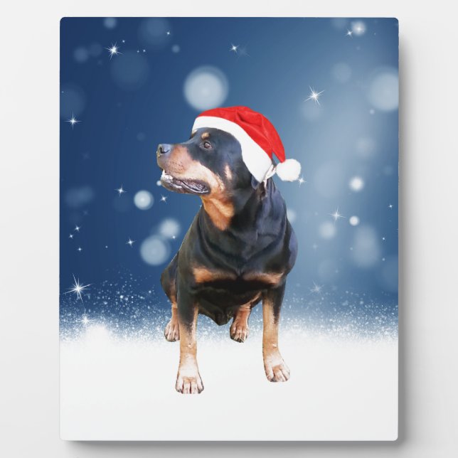 Cute Rottweiler Dog Christmas Santa Hat Snow Stars Plaque (Front)