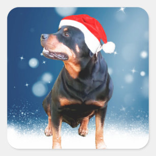 Cute Rottweiler Dog Christmas Santa Hat Snow Stars Square Sticker