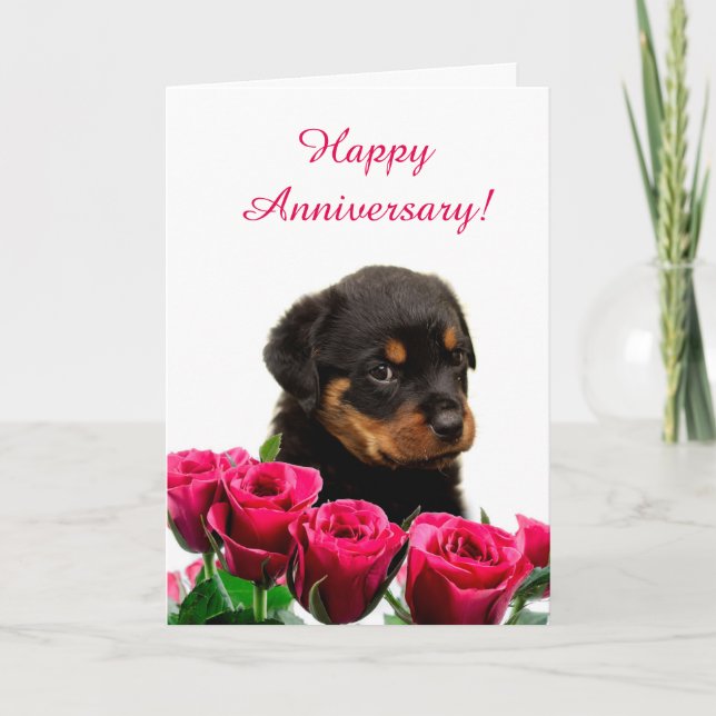 Cute Rottweiler Puppy Rose Anniversary Card (Front)