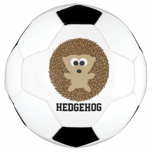Cute Round Hedgehog Football