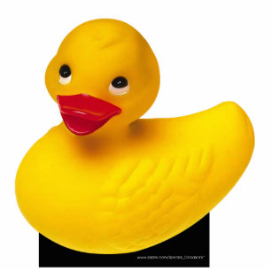 Cute Rubber Ducky on pedestal Standing Photo Sculpture