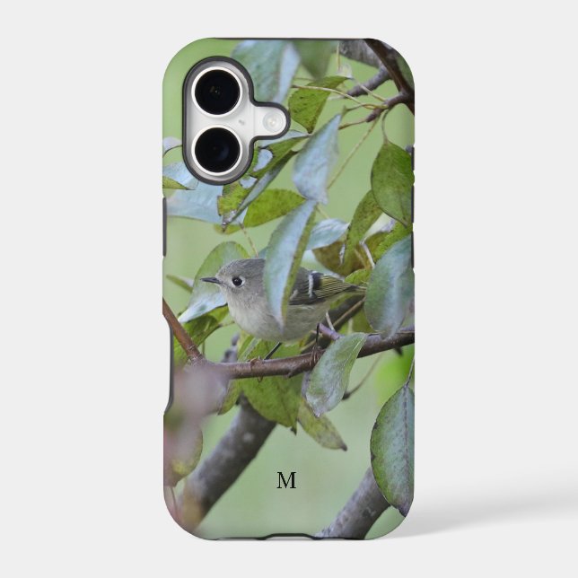 Cute Ruby-Crowned Kinglet with Initial (Back)