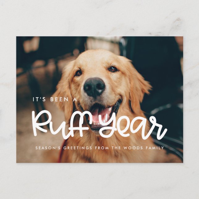 Cute Ruff Year Dog photo Holiday Postcard (Front)