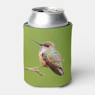 Cute Rufous Hummingbird on California Lilac Can Cooler