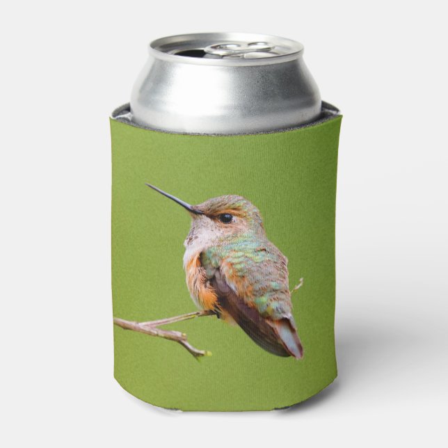 Cute Rufous Hummingbird on California Lilac Can Cooler (Can Front)