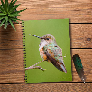Cute Rufous Hummingbird on California Lilac Notebook