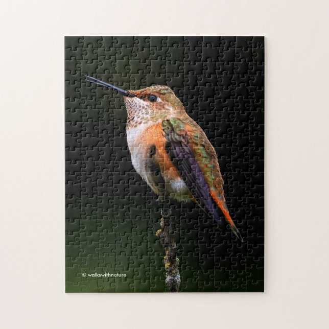 Cute Rufous Hummingbird on Fruit Tree Jigsaw Puzzle (Vertical)