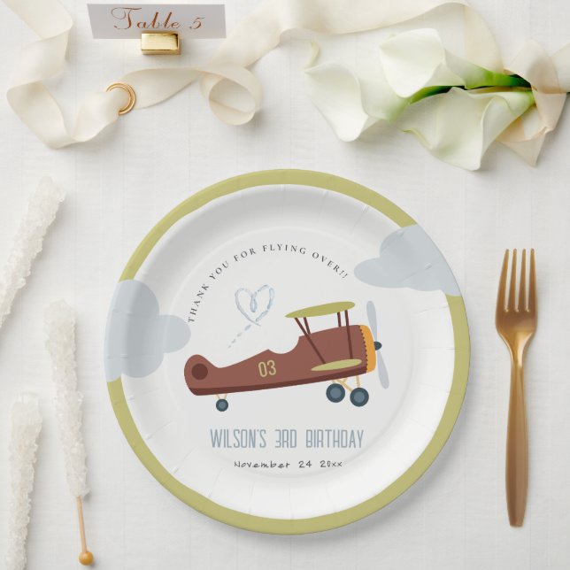 Cute Rust Green Blue Biplane Cloud Heart Birthday Paper Plate (Wedding)
