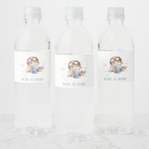 Cute Rust Navy Plane Teddy Stars Kids Birthday Water Bottle Label