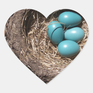 Cute Rustic Bird's Nest Blue Robin Eggs Heart Sticker