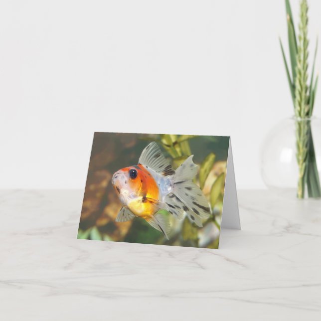 Cute ryukin goldfish Note Cards (Front)