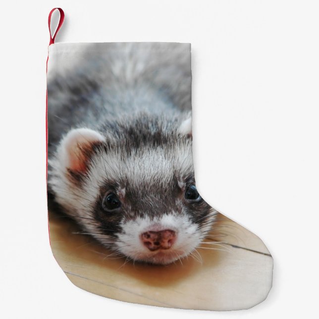 Cute Sable Ferret Small Christmas Stocking (Front)