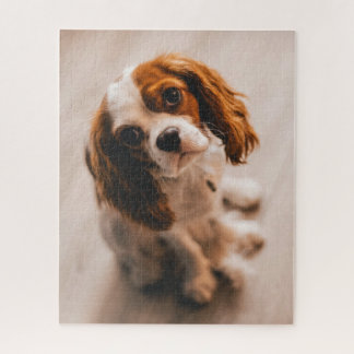 Cute Sad Eyes Red White Cocker Spaniel Puppy Dog Jigsaw Puzzle