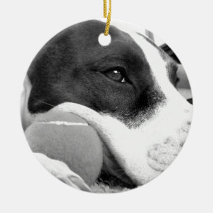 cute sad looking pitbull dog black white with ball ceramic tree decoration
