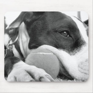 cute sad looking pitbull dog black white with ball mouse mat