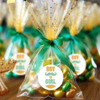 Cute Saint Patrick's Day Baby Shower Gender Reveal Classic Round Sticker