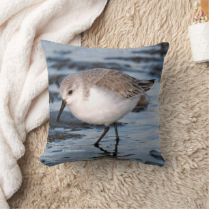 Cute Sanderling Sandpiper at the Winter Beach Cushion