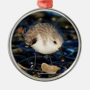 Cute Sanderling Sandpiper Enjoys Seaside Dining Metal Tree Decoration